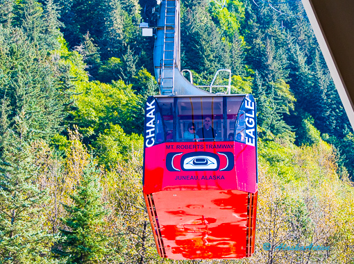 Juneau City Tour